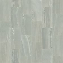 Shaw Floors Ceramic Solutions Basis 12×24 Earth 00180_CS20W