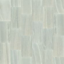 Shaw Floors Ceramic Solutions Basis 12×24 Lithium 00560_CS20W