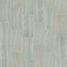 Shaw Floors Ceramic Solutions Basis 16×32 Earth 00180_CS21W