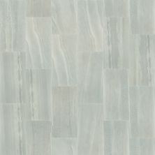 Shaw Floors Ceramic Solutions Basis 16×32 Zinc 00190_CS21W