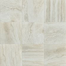 Shaw Floors Ceramic Solutions Genesis 18×18 Ivory 00125_CS24V