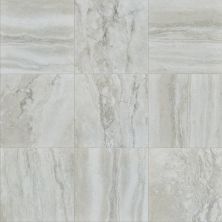 Shaw Floors Ceramic Solutions Genesis 18×18 Grey 00150_CS24V