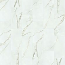Shaw Floors Ceramic Solutions Range 12×24 Matte Calacatta 00121_CS34W