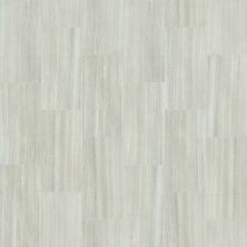 Shaw Floors Ceramic Solutions Range 12×24 Matte Ash 00550_CS34W