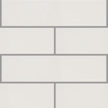 Shaw Floors Ceramic Solutions Elegance 4×16 Gloss Warm Grey 00500_CS36L