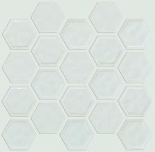 Shaw Floors Ceramic Solutions Geoscapes Hexagon Bone 00150_CS50V