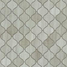Shaw Floors Ceramic Solutions Chateau Lantern Mosaic Rockwood 00500_CS55P