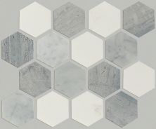 Shaw Floors Ceramic Solutions Chateau Hexagon Mosaic Bianco C Blue G 00511_CS56P