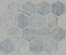 Shaw Floors Ceramic Solutions Chateau Hexagon Mosaic Blue Grigio 00550_CS56P