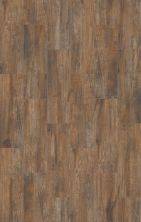 Shaw Floors Ceramic Solutions Olympia Plank Brown 00700_CS68Q