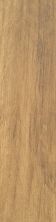 Shaw Floors Ceramic Solutions Napa Plank 8×32 Cask 00700_CS75M