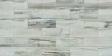 Shaw Floors Ceramic Solutions Current 4×12 Wall Niagara Crush 00152_CS77Z