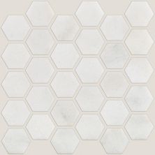 Shaw Floors Ceramic Solutions Boca Hexagon Polished Mosaic Pearl 00101_CS80M