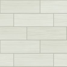 Shaw Floors Ceramic Solutions Grand Strands Wall 4×12 Gossamer 00100_CS85W