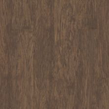 Shaw Floors Resilient Residential Slot Canyon Spice Box 00355_CV109