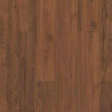 Shaw Floors Resilient Residential Slot Canyon Universal 00620_CV109