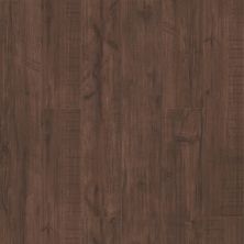 Shaw Floors Carpets Plus Resilient Entra Plus Parma 00734_CV158