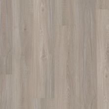 Shaw Floors Resilient Residential Just Believe Washed Oak 00509_CV159
