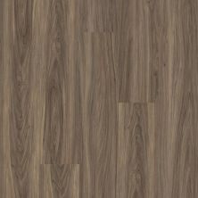 Shaw Floors Colortile Spc Cp Embark On Click Cinnamon Walnut 00150_CV161