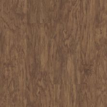 Shaw Floors Colortile Spc Cl Embark On Click Sienna Oak 00452_CV161