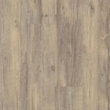 Shaw Floors Colortile Spc Cl Embark On Click Wheat Oak 00507_CV161