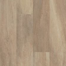 Shaw Floors Colortile Spc Cp Embark On Click Tan Oak 00765_CV161