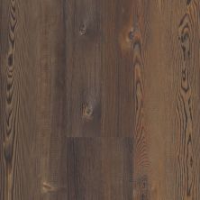 Shaw Floors Cp Colortile Rigid Core Plank And Tile Mission Pine Clk Forest Pine 00812_CV169