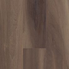 Shaw Floors Cp Colortile Rigid Core Plank And Tile Chancel Oak Clk Ravine Oak 00798_CV171