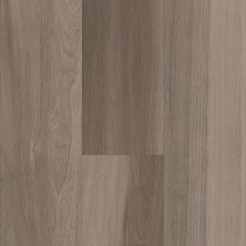 Shaw Floors Cp Colortile Rigid Core Plank And Tile Chancel Oak Clk Chestnut Oak 05010_CV171