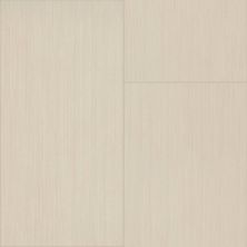 Shaw Floors Cp Colortile Rigid Core Plank And Tile Stonecraft Arid 00162_CV173