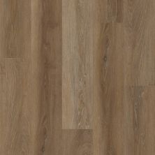 Shaw Floors Elite Performance Spc Ramsey Magellanic Oak 02080_CV187