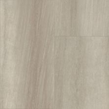 Shaw Floors Cp Colortile Rigid Core Plank And Tile Aspire Tile Ash 01008_CV197