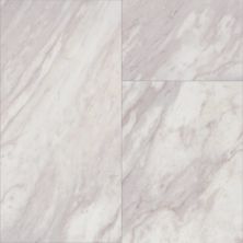 Shaw Floors Cp Colortile Rigid Core Plank And Tile Aspire Tile Oyster 01010_CV197
