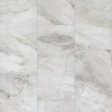 Shaw Floors Cp Colortile Rigid Core Plank And Tile Aspire Tile Catalina 01109_CV197