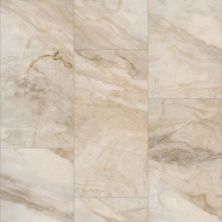 Shaw Floors Cl Colortile Rigid Core Plank And Tile Aspire Tile Jordan 06019_CV197