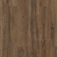 Shaw Floors Colortile Spc Cl Aspire XL HD Plus Brown Sugar Oak 07054_CV198