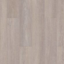 Shaw Floors Colortile Spc Cl Ironside Greige Walnut 05078_CV199