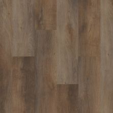 Shaw Floors Colortile Spc Cl Ironside Highlight Oak 07061_CV199