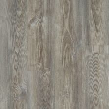 Shaw Floors Colortile Spc Cl Ironside Grey Chestnut 07062_CV199