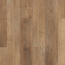 Shaw Floors Carpets Plus Resilient Catamaran Touch Pine 00690_CV211