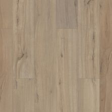 Shaw Floors Carpets Plus Resilient Catamaran Driftwood 01056_CV211