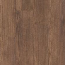 Shaw Floors Cp Commercial Gran Paradiso 12 Cloves 07003_CV213