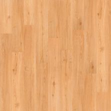 Shaw Floors Cp Commercial Heartwood 12 Recurrence 00251_CV221
