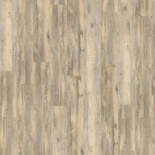 Shaw Floors Cp Commercial Heartwood 12 Echo 00512_CV221
