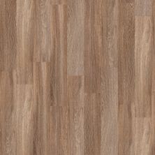 Shaw Floors Cp Commercial Heartwood 12 Calibration 00574_CV221