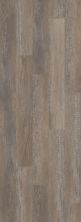 Shaw Floors Carpets Plus COREtec Essentials 7″ Broad Spar Oak 00710_CV234