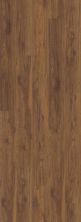 Shaw Floors Carpets Plus COREtec Essentials 7″ Midway Oak 00716_CV234