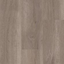 Shaw Floors Carpets Plus COREtec Prime XL Grande Marina O 07012_CV245
