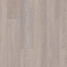 Shaw Floors Everest Willow Plus Greige Walnut 05078_D102H