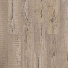 Shaw Floors Everest Willow Plus Accent Pine 07063_D102H